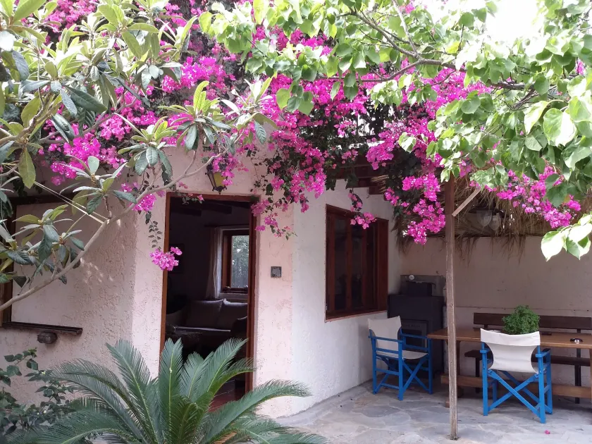 Olive tree Cottages - Image 1