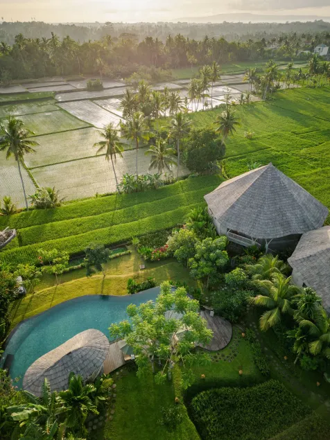 thewakanda Resort A Pramana Experience - Image 1