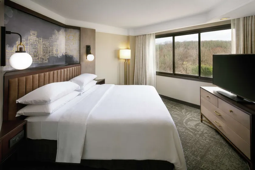 Embassy Suites by Hilton Tysons Corner - Image 1