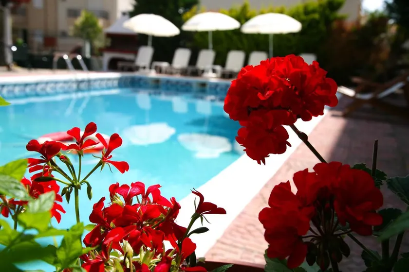 Olympus Hotel Villa Drosos - Image 1