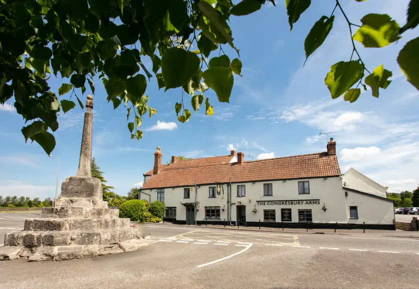 The Congresbury Arms - Image 1
