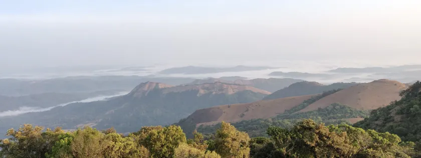 Paradise Wild Hills - Image 1