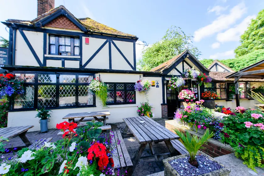 Ye Olde Red Lion - Image 1