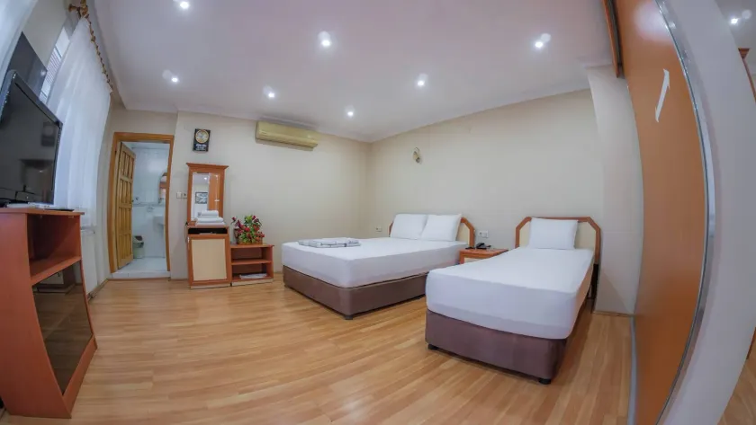 Room-spacious Hopa Suite & City View - Image 1