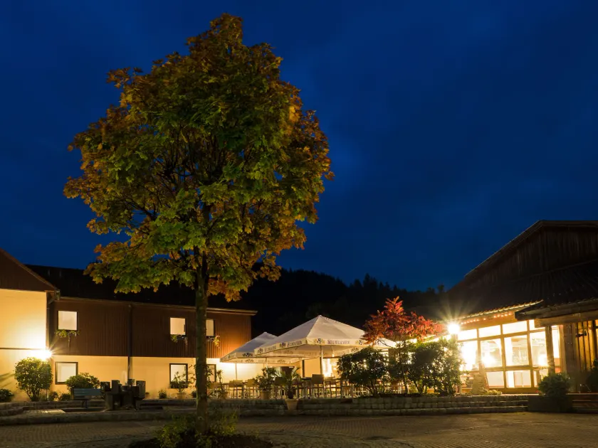 Aparthotel Frankenwald - Image 1