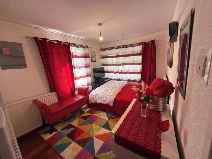Charming London Guest Room with Garden BBQ - Image 1