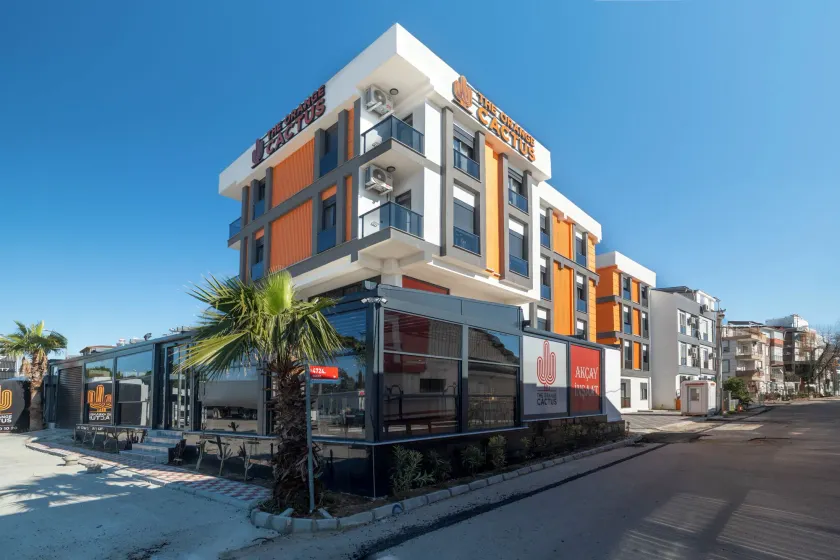 The Orange Cactus - Image 1