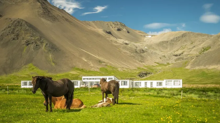 Kast Guesthouse - Image 1