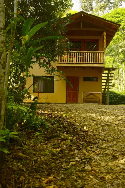 Laureles Collection Uvita - Cabinas Los Laureles - Image 1