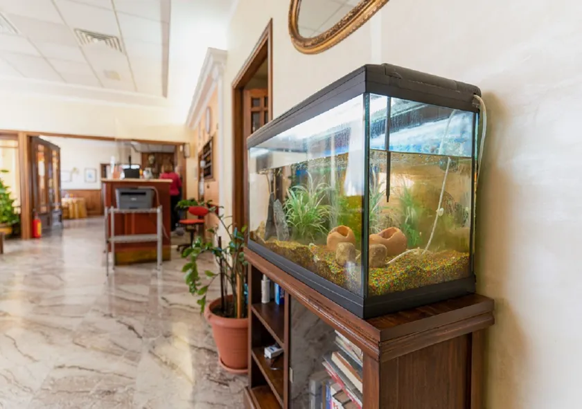 Hotel Villa Delle Rose - Image 1