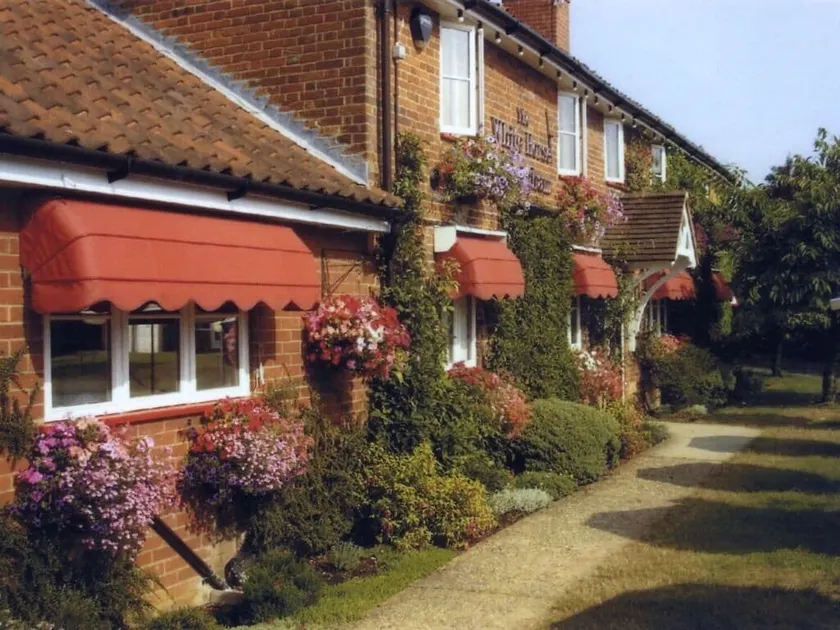 The Longham White Horse - Image 1