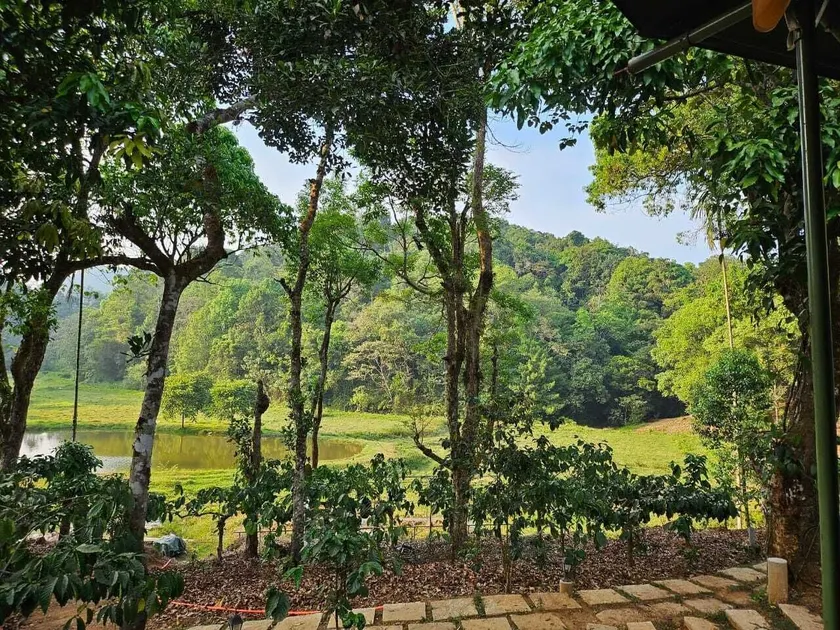 Three Hills Resort & Spa, Coorg - Image 1