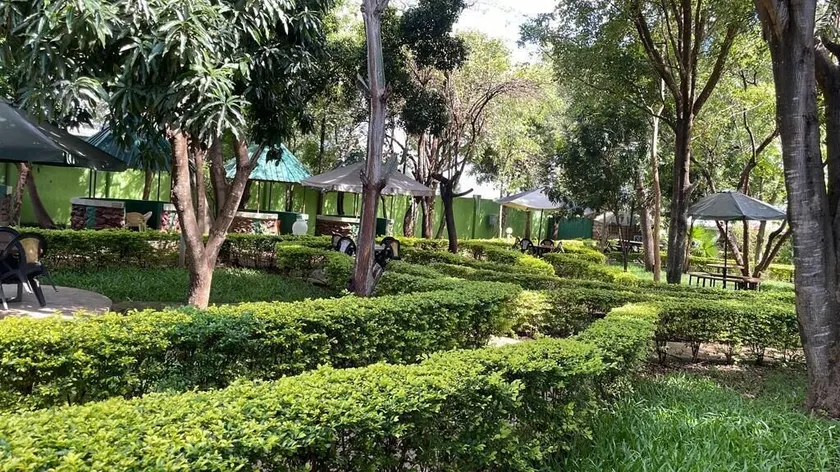 Jungle Green Resort - Kiutine - Image 1