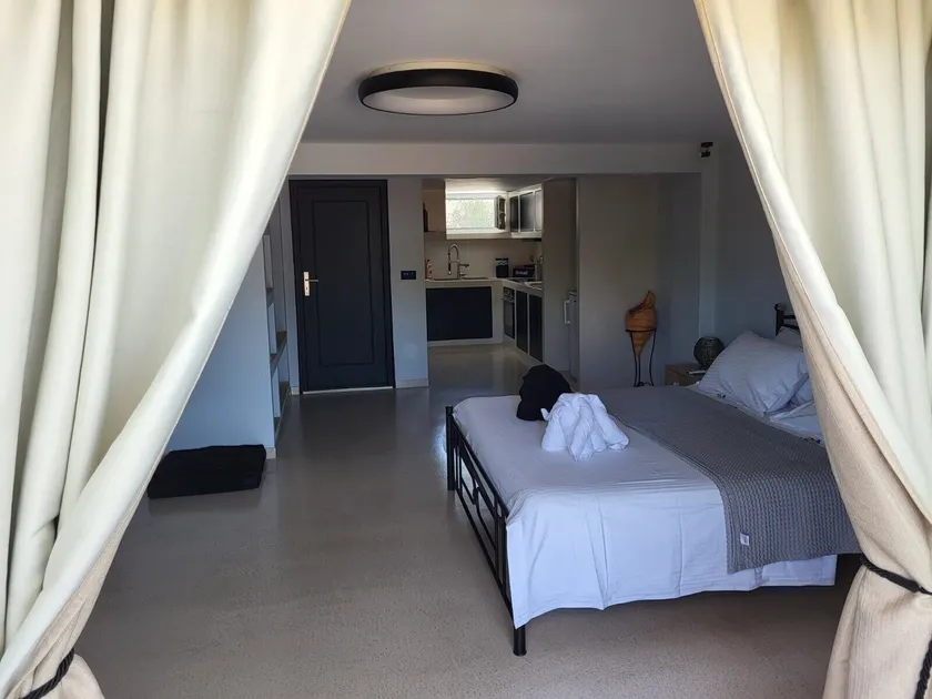 Black Fig - Image 1