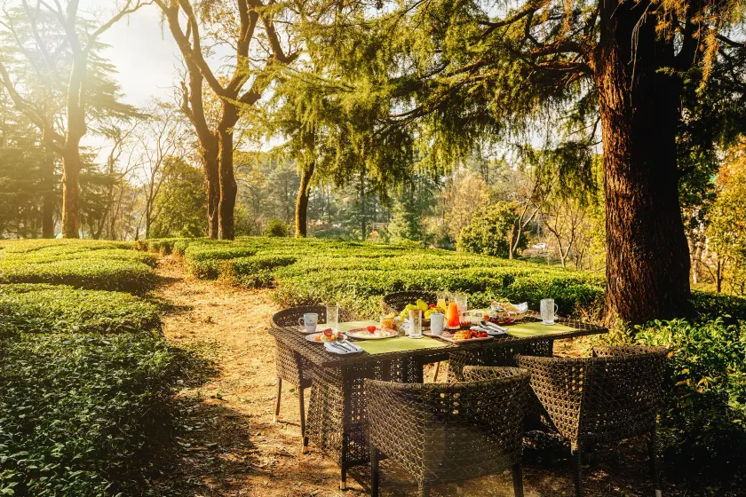 INFINITEA DAKBUNGLOW PALAMPUR - Image 1