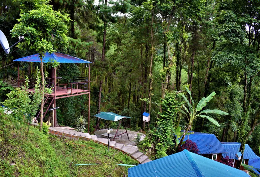 Jungle Crown Organic Homestay - Image 1