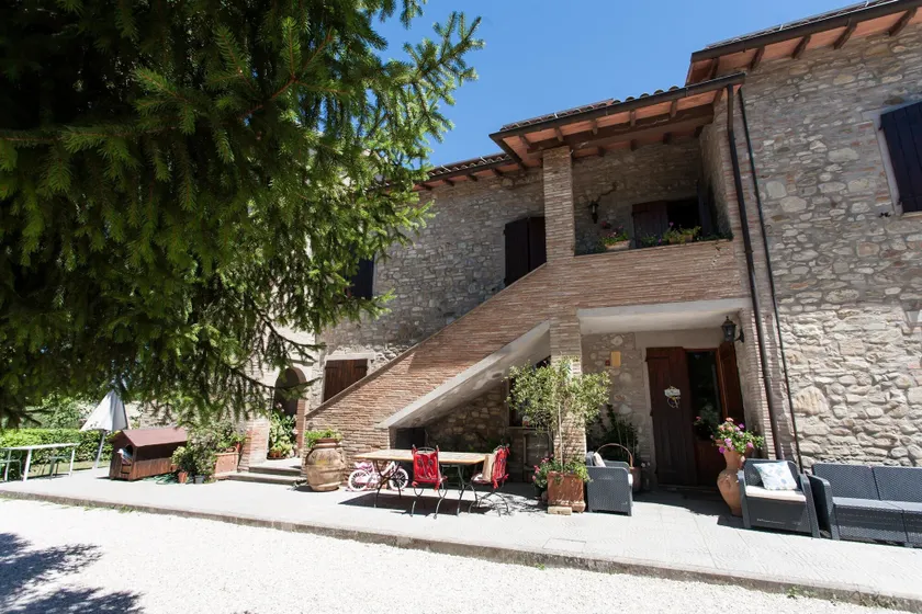 Podere Caldaruccio La Pineta - Image 1