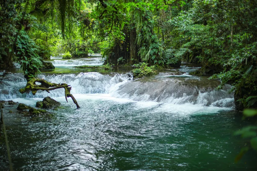 Stay at Eden on the River - Image 1