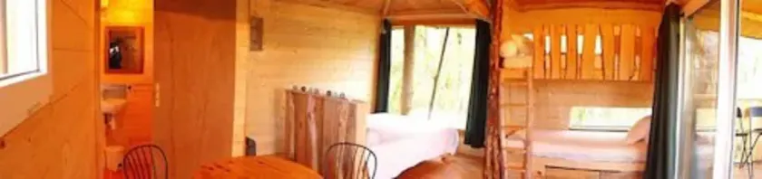 Cabane des cerfs - Image 1