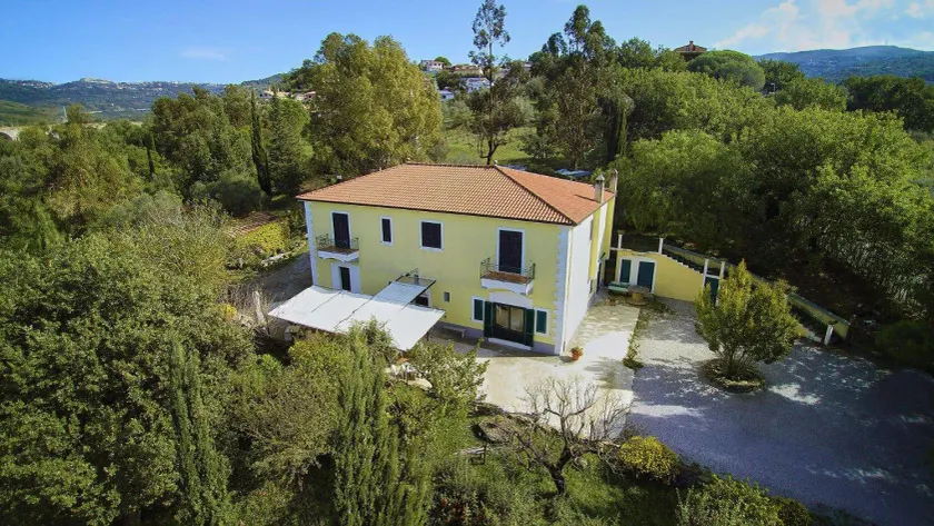 Lamione da Dorotea - Image 1
