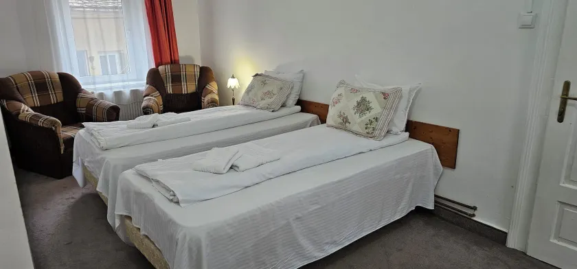 Guesthouse Casa Baciu - Room