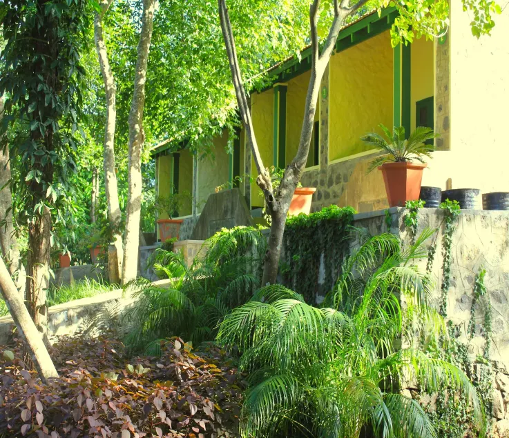 The Last Shola Cottages - Image 1