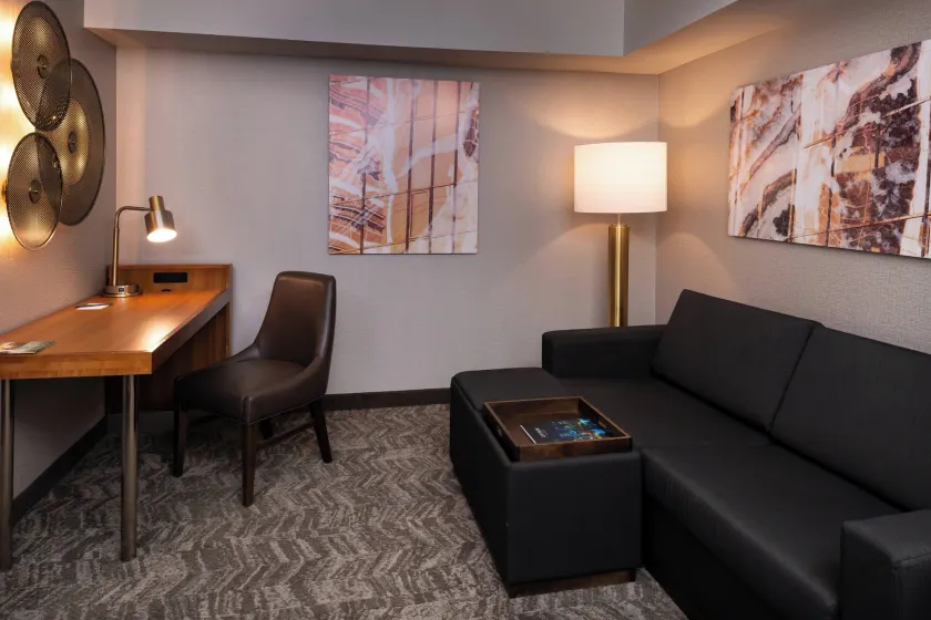 SpringHill Suites by Marriott Pittsburgh North Shore - Image 1