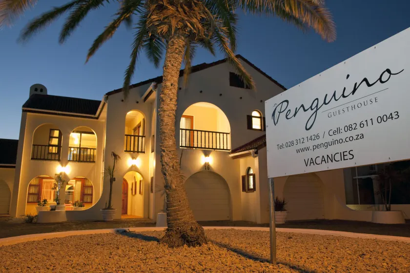 Penguino Guesthouse - Image 1
