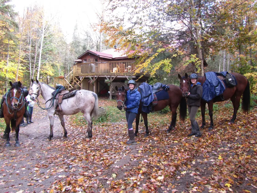 Algonquin Eco-Lodge - Image 1