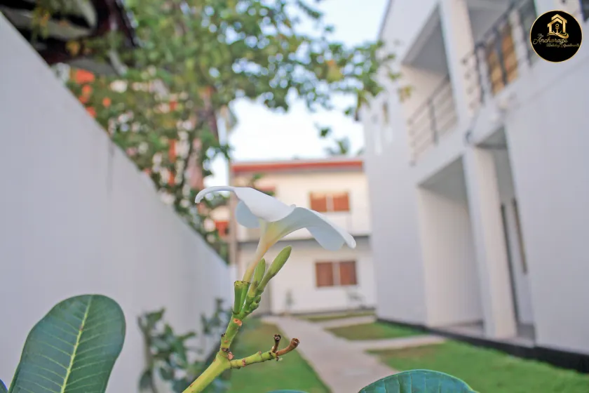The Anchorage Holiday Apartments - Negombo - Image 1