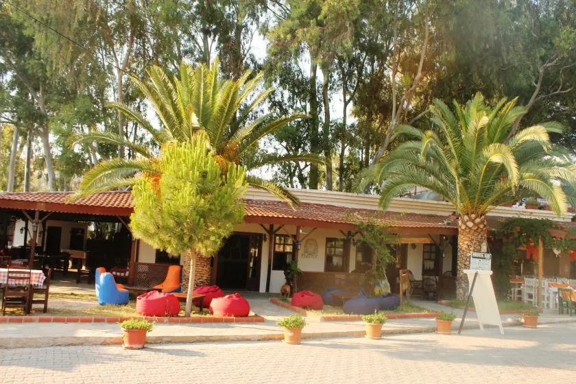 Medusa Camping - Image 1