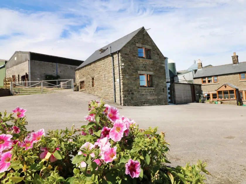 Shire Cottage en Top Butterley Farm, TANSLEY - Image 1