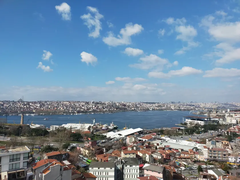 Grand Halic Goldenhorn - Image 1