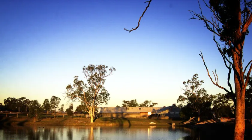 The Woolshed at Jondaryan - Campsite - Image 1