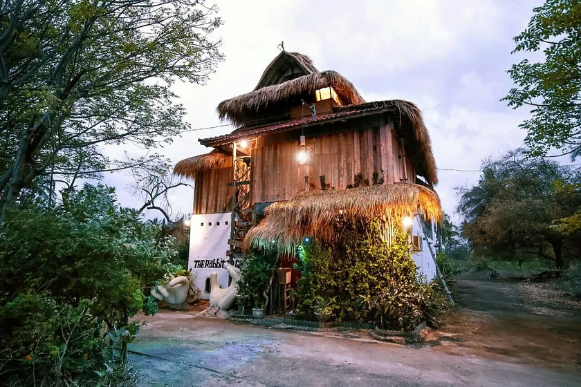 The Rabbit Tree Hostel - Image 1