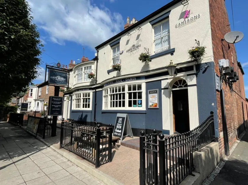 The Grey Horse - Image 1