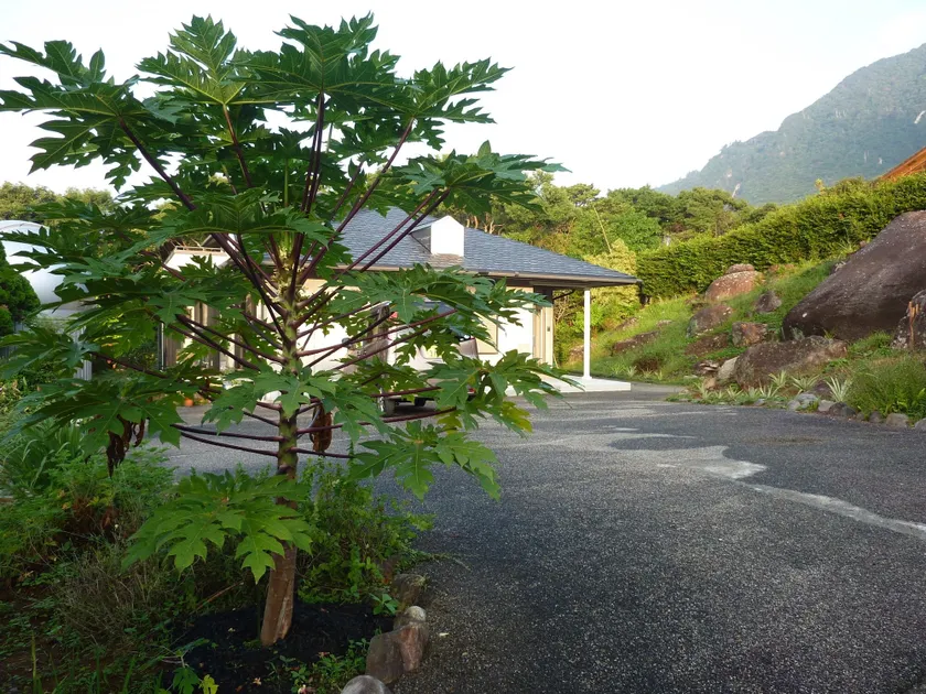 Sora-mame - Image 1