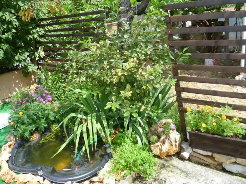 B&B Natalia - Image 1