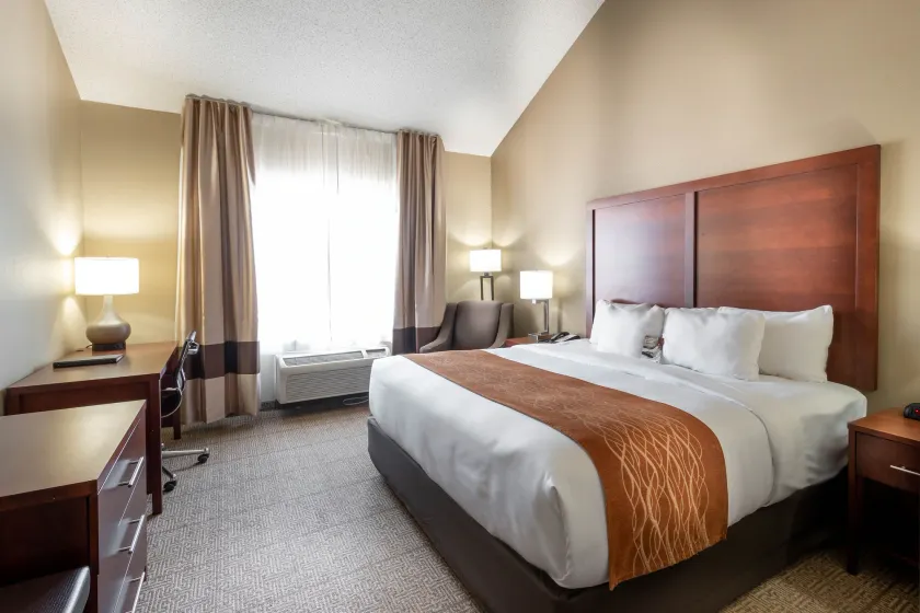 Comfort Inn & Suites Love Field-Dallas Market Center - Image 1