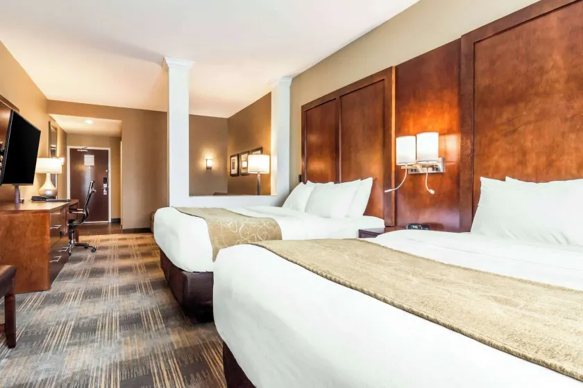 Comfort Suites University Brookings - Image 1