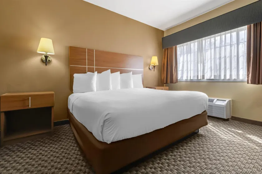 Best Western Plus Shamrock Inn & Suites - Image 1