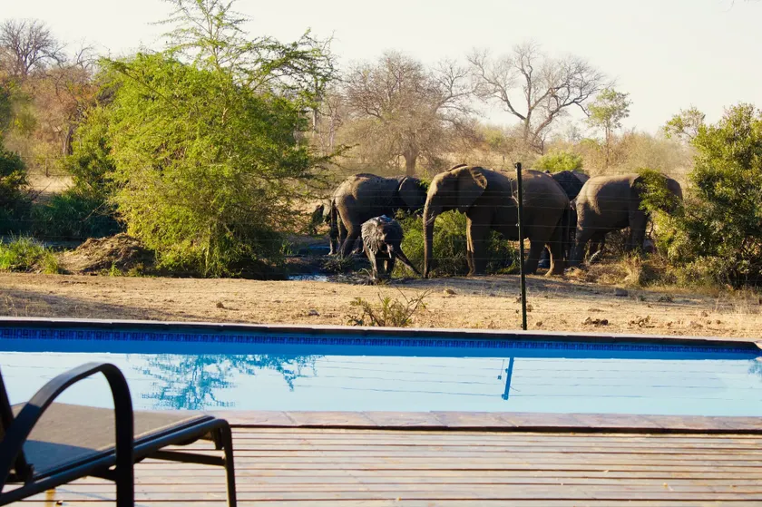 Masodini Private Game Lodge - Image 1