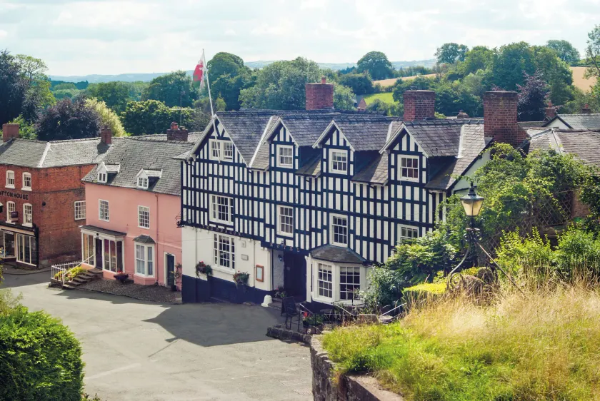 The Dragon Hotel - Image 1