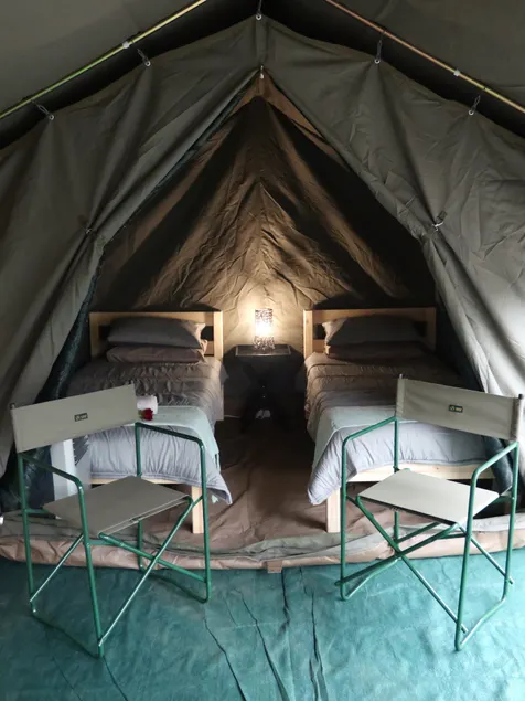Kruger Park Tours - Image 1