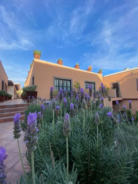 Hotel Boutique Hacienda Guadalupe - Image 1