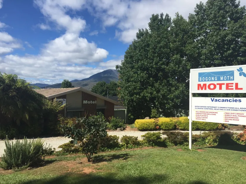 Bogong Moth Motel - Image 1