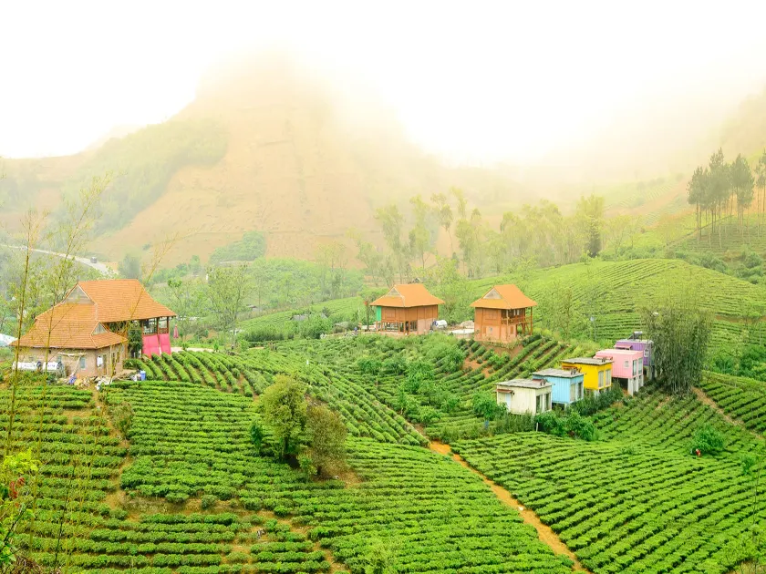Moc Chau Arena Village - Image 1