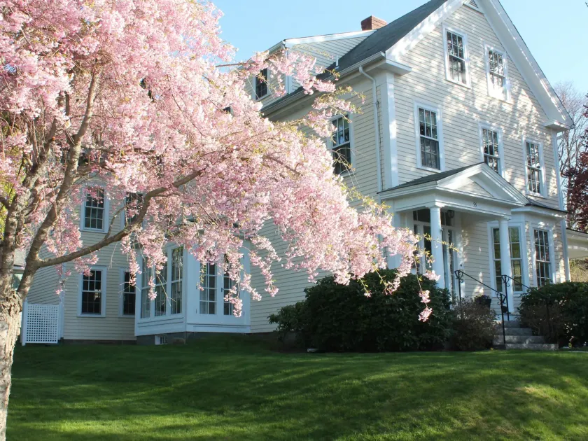 Beech Tree Bed and Breakfast - Image 1