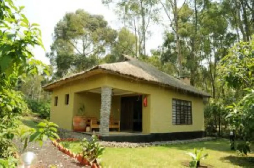 Davinci Gorilla Lodge - Image 1