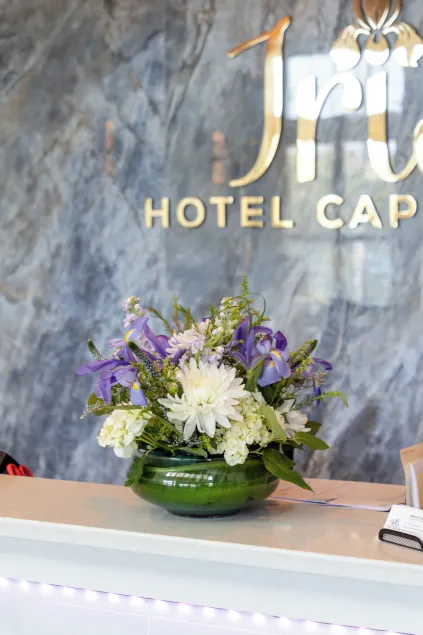 Iris Hotel Cape Cod  - Réception